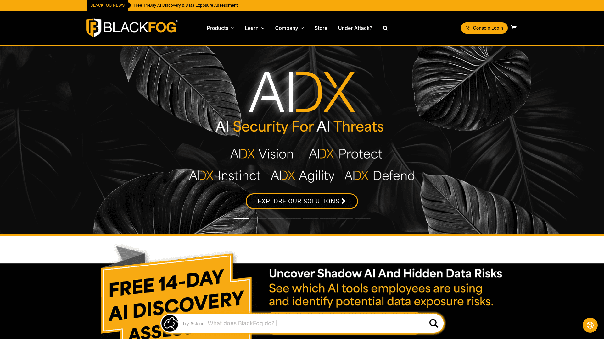 BlackFog homepage