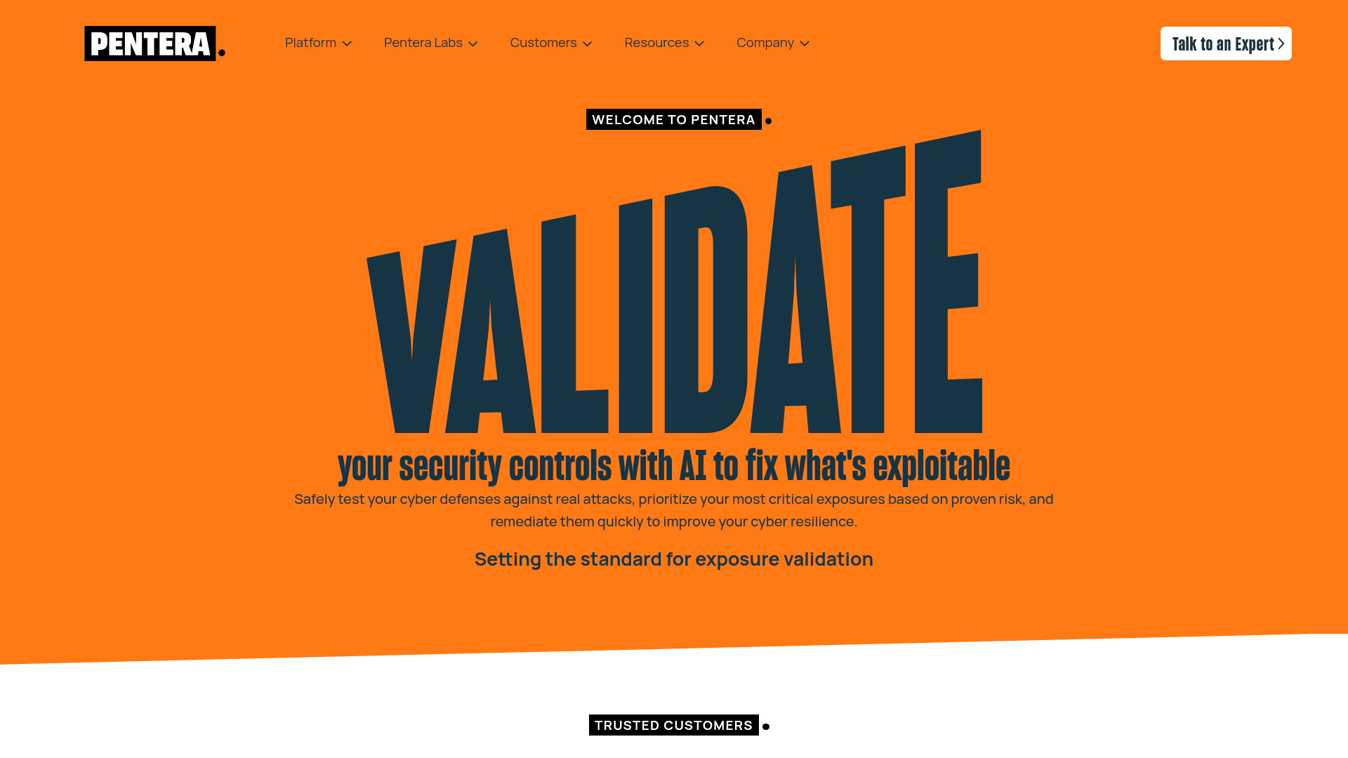 Pentera homepage