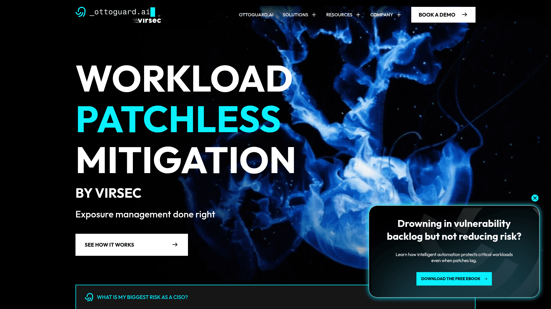 Virsec homepage