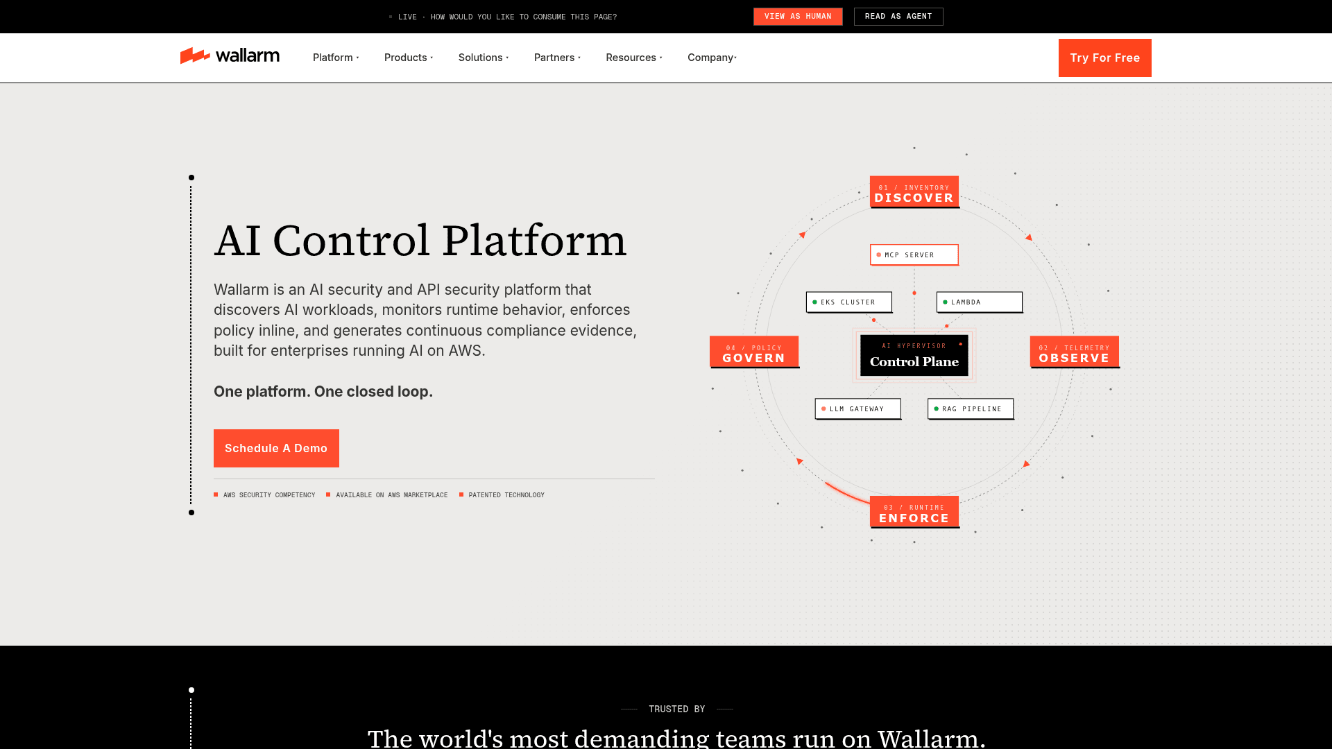 Wallarm homepage