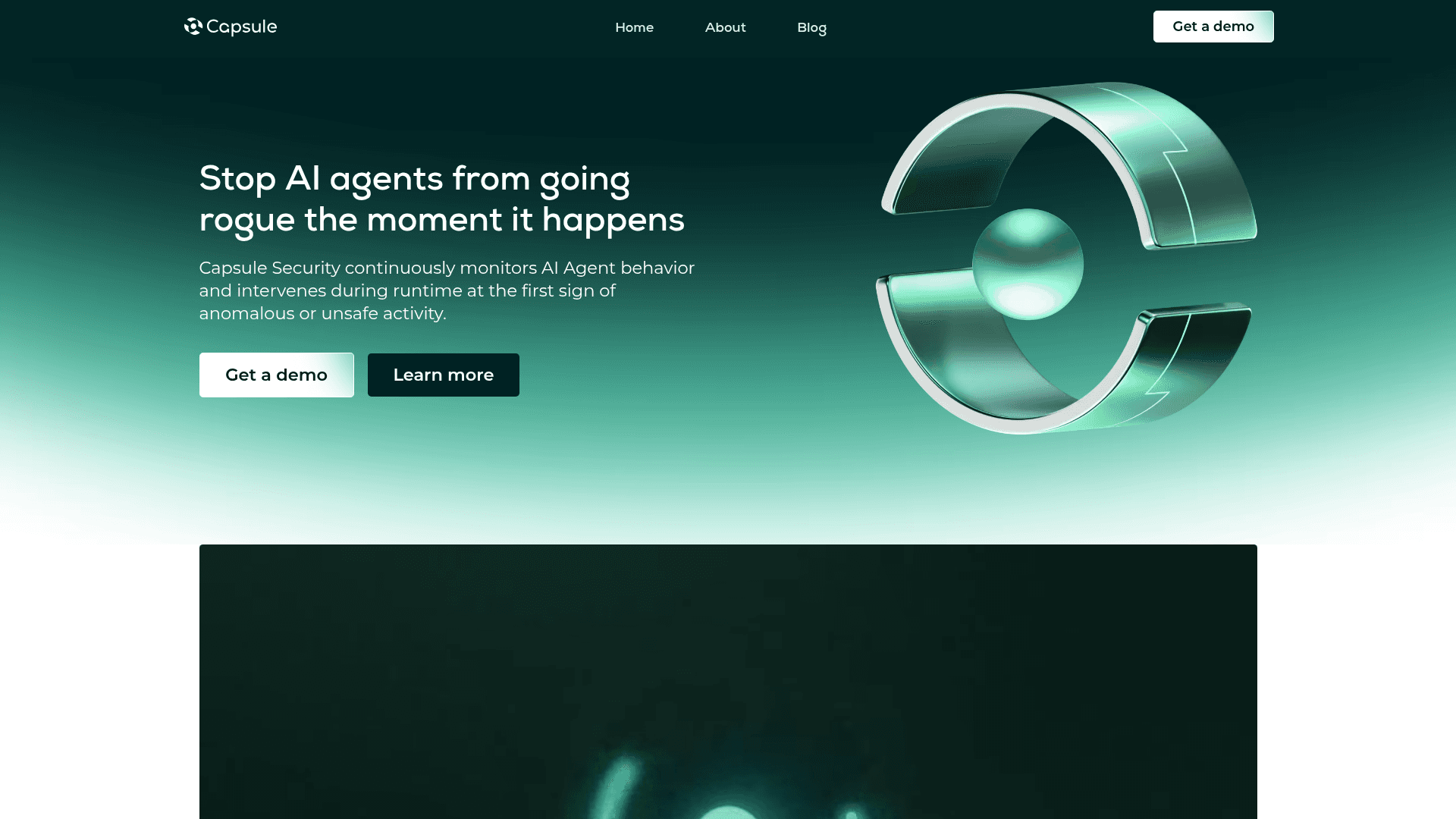 Capsule Security homepage screenshot