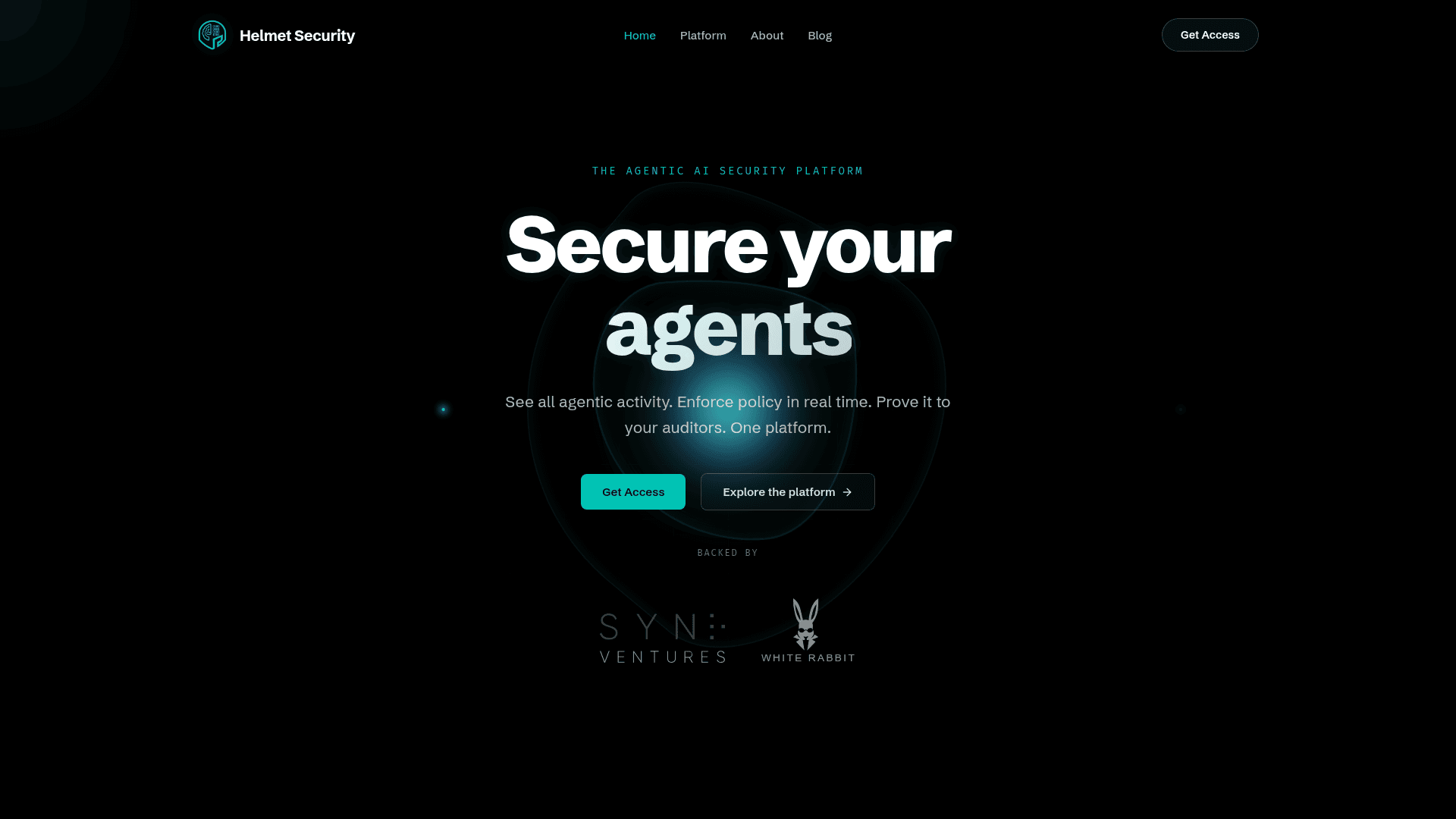 Helmet Security homepage screenshot