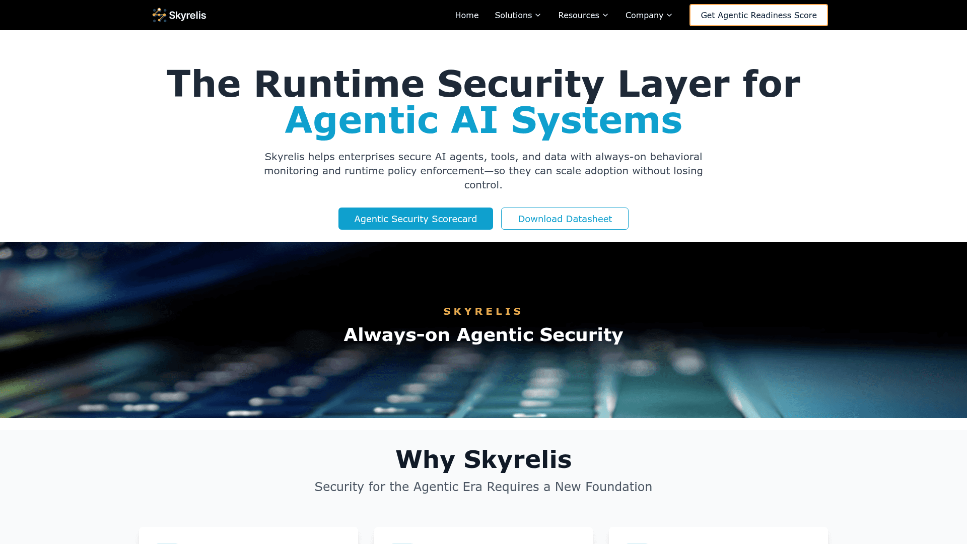 Skyrelis homepage screenshot